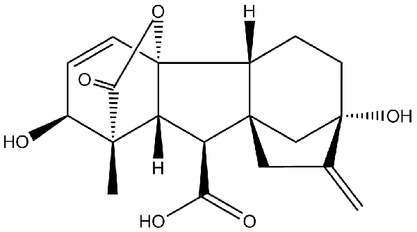 赤霉素GIBBERELLIC ACID，居然有這么神奇？